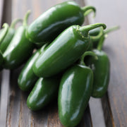 Pepper Bambino F1 Seed - STANDARD / 50 seeds / TREATED