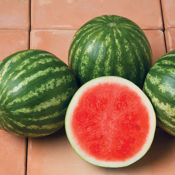 Watermelon Sirius F1 Seed