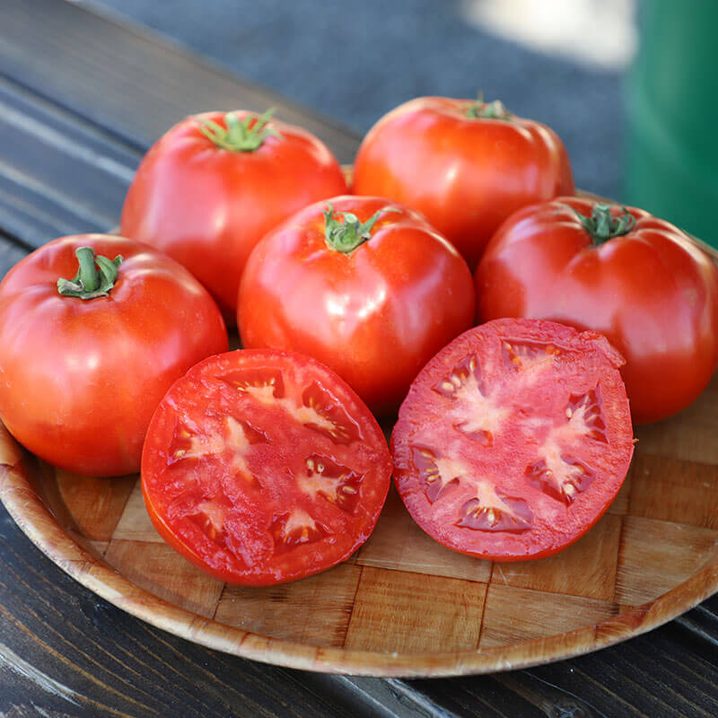 Tomato Skyway 687 F1 Organic Seed