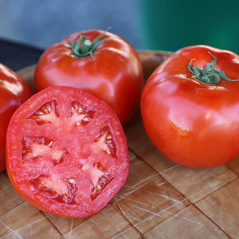 Tomato Red Snapper F1 Seed