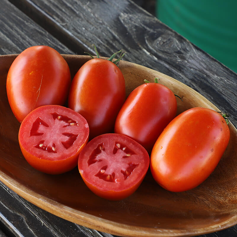 Tomato Davinci F1 Seed