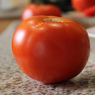 Tomato Celebrity Plus F1 Seed