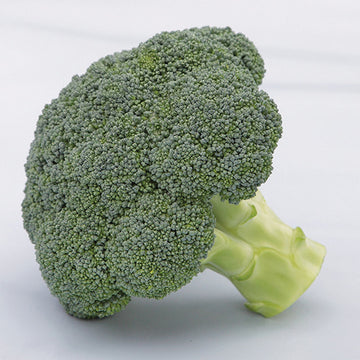 Broccoli Batory F1 Seed