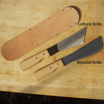 Broccoli Knife Carbon Steel Blade Wood Handle