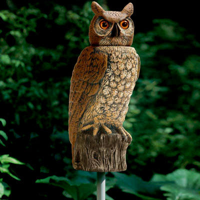 Dalen Bird Scare Realistic Owl with Rotating Head