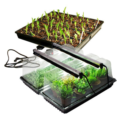 SunBlaster Double Mini Greenhouses Combo Kit
