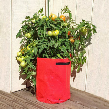 Tomato Patio Planters 3 Pack