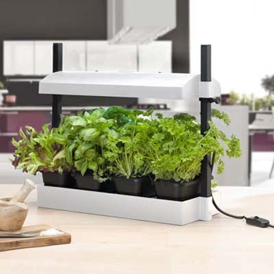SunBlaster Micro Grow Light Garden - White