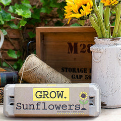 Grow Gardens Grow Sunflowers Kit