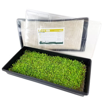 Biostrate Felt Micro Greens Kit