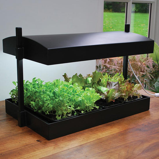 SunBlaster LED Grow Light Garden Harris Seeds