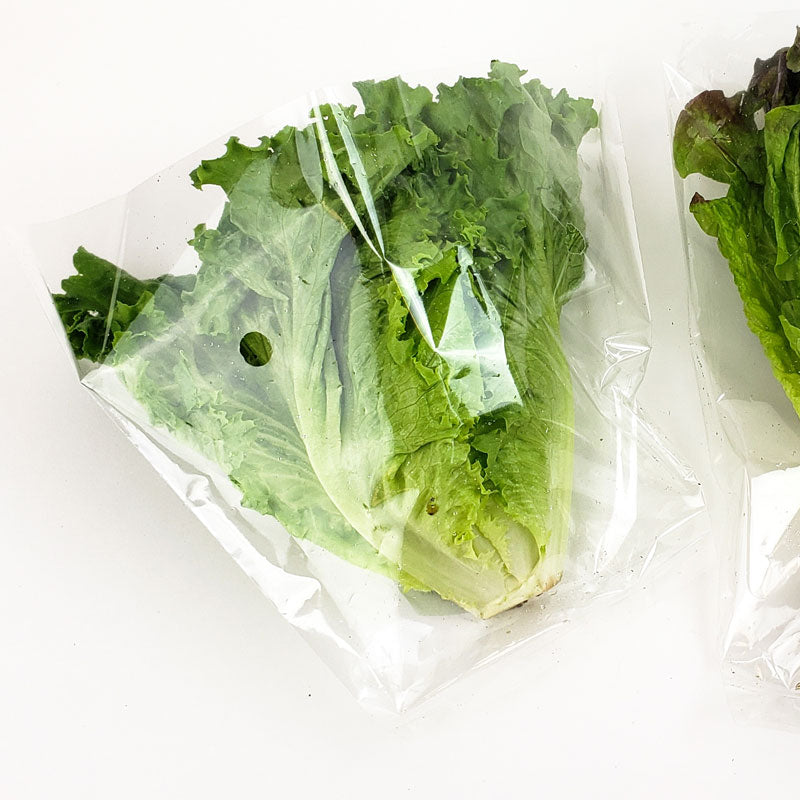 Hydroponic Lettuce Sleeves 14” x 9” x 5”