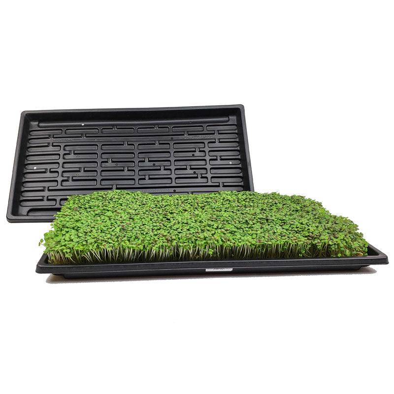 Microgreen Growing Trays