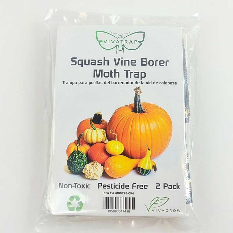 Vivatrap Squash Vine Borer Moth Traps