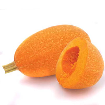 Squash Orangeti F1 Organic Seed