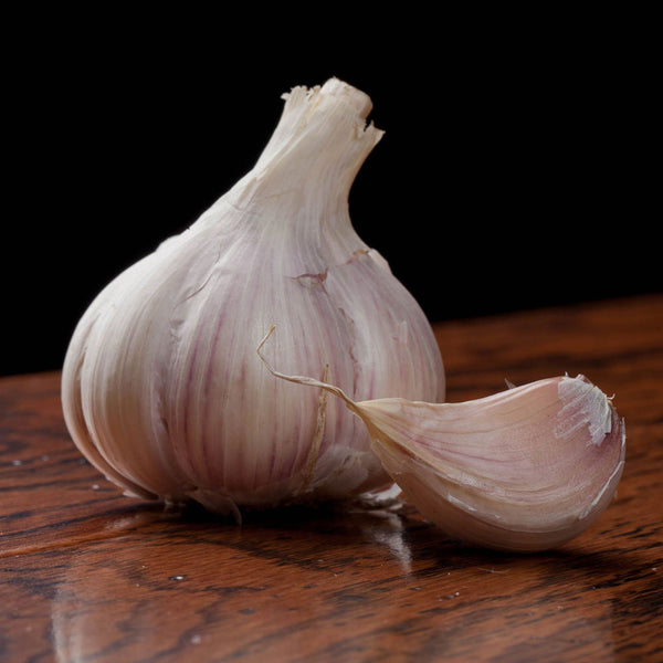 Garlic Music Hardneck Harris Seeds